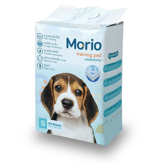 แผ่นรองซับ / แพมเพิส