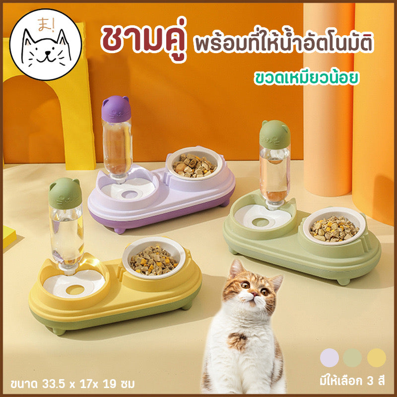 ชามใส่อาหาร