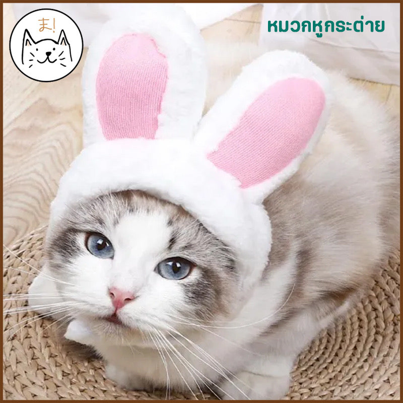 ของเล่นสัตว์เลี้ยง