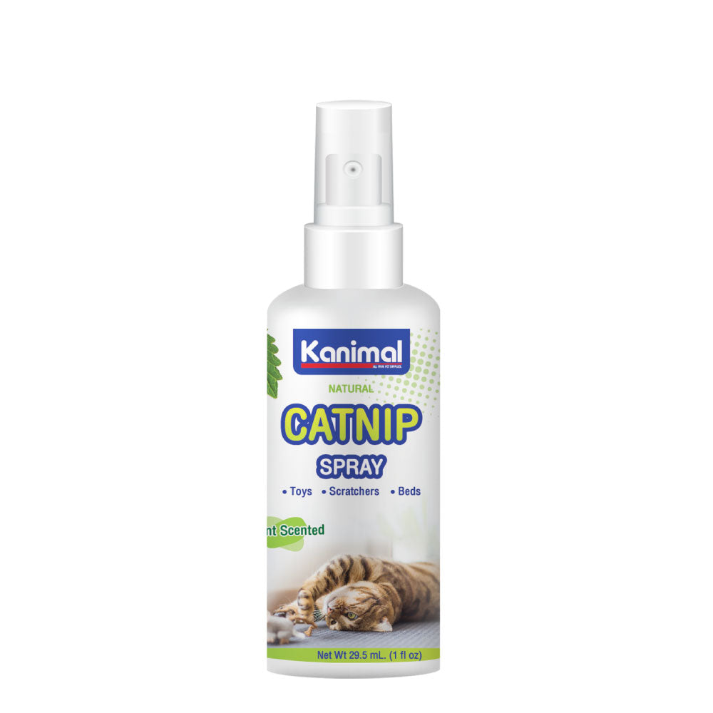 Kanimal Catnip