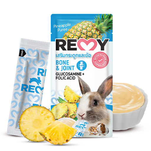 Remy Treats