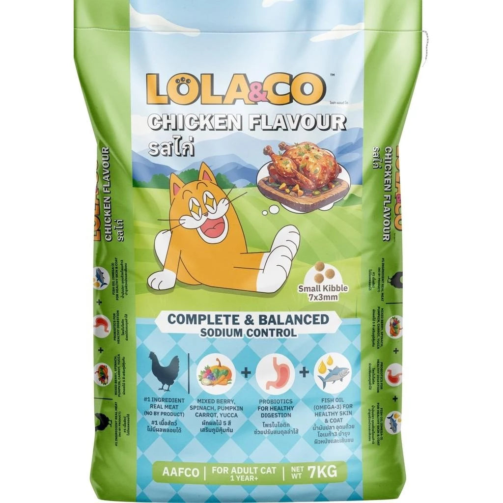 LOLA&Co Cat
