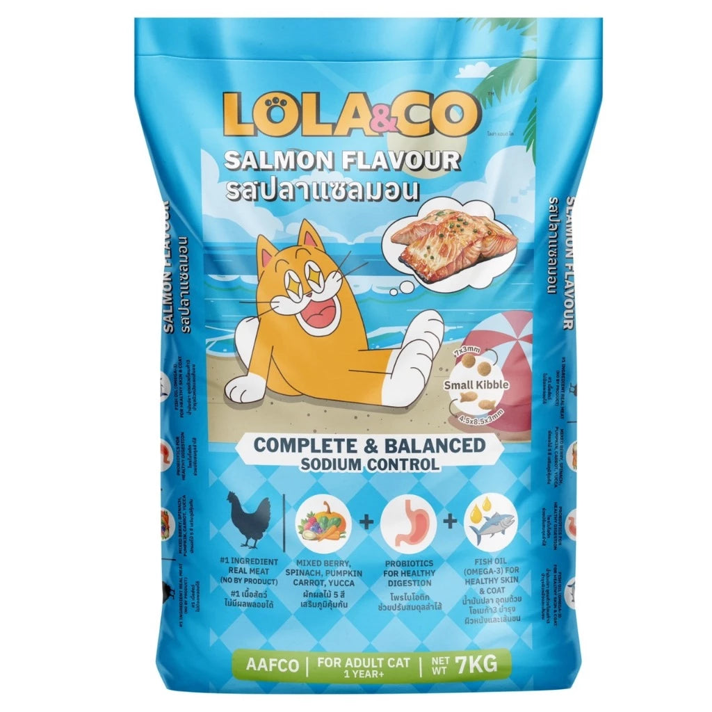 LOLA&Co Cat