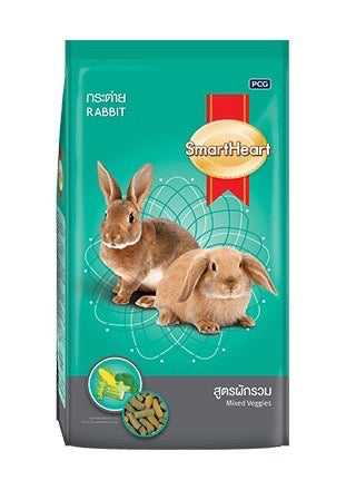 SmartHeart Rabbit